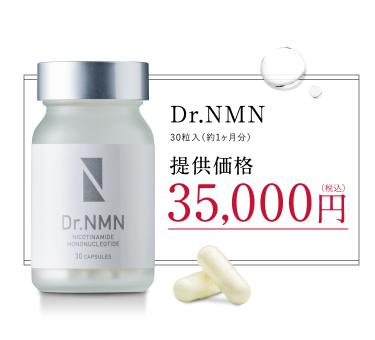 公式キャンペーンなら14,700円もお得！！