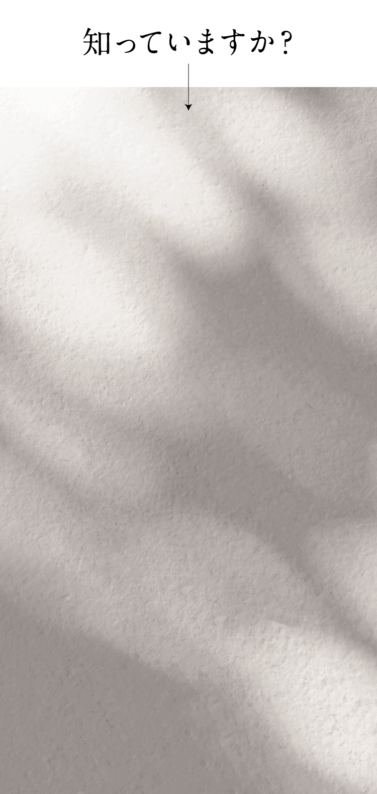 知っていますか？
