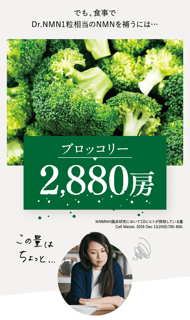 ブロッコリー2,880房